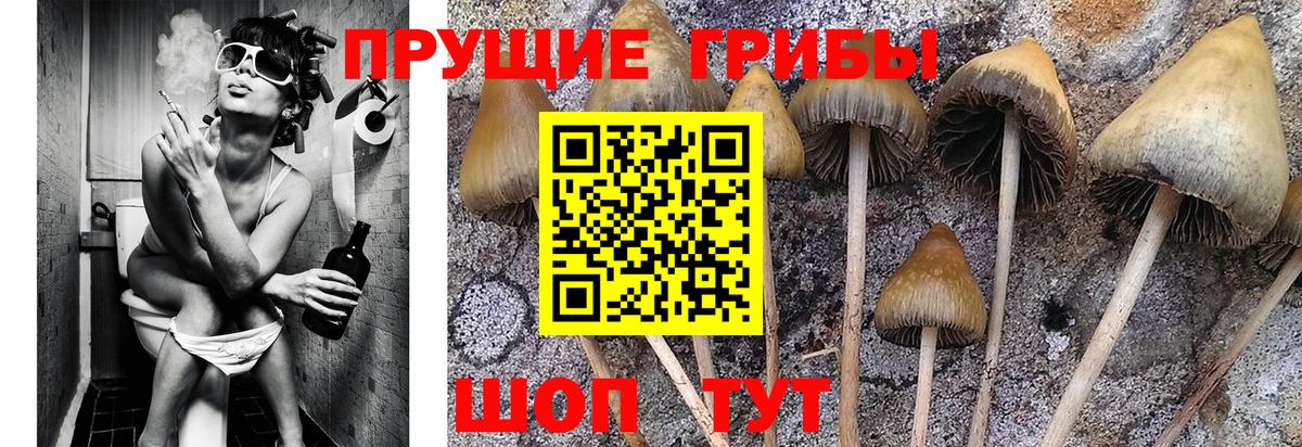 купить наркотик  Вход с VPN  Чайковский  Галлюциногенные грибы Cubensis  Галлюциногенные грибы Cubensis 